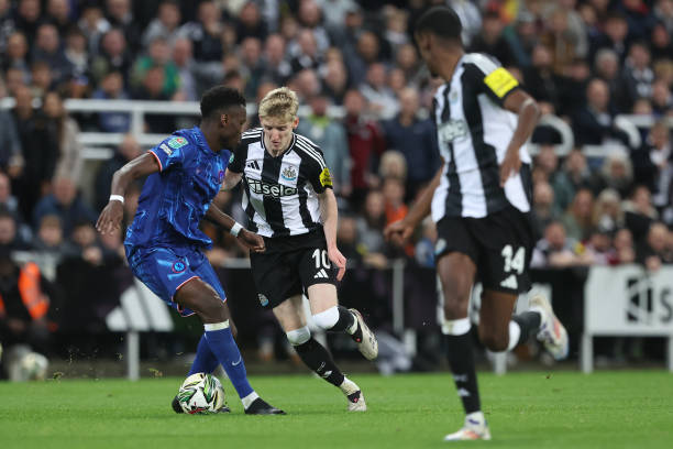 主题解析 主题解析